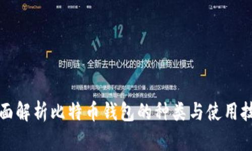 全面解析比特币钱包的种类与使用技巧